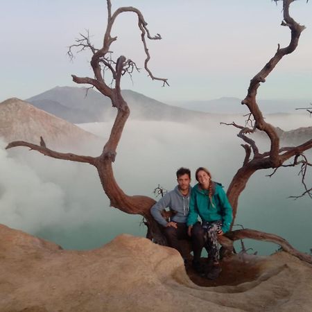 Thalia Homestay & Ijen Bromo Tour Banyuwangi  Exteriér fotografie
