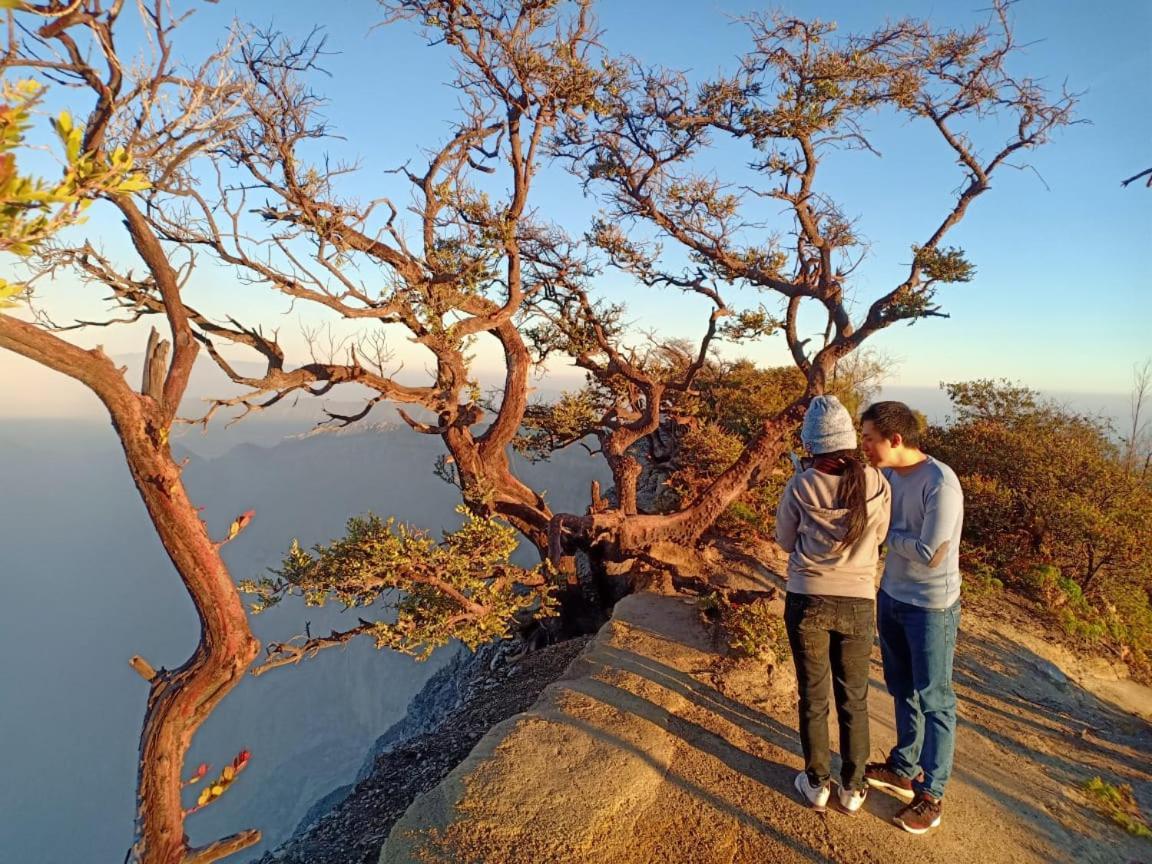 Thalia Homestay & Ijen Bromo Tour Banyuwangi  Exteriér fotografie