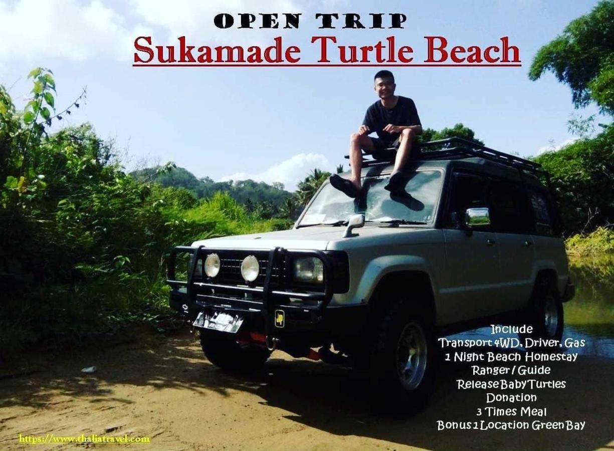 Thalia Homestay & Ijen Bromo Tour Banyuwangi  Exteriér fotografie