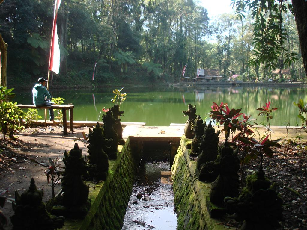 Thalia Homestay & Ijen Bromo Tour Banyuwangi  Exteriér fotografie