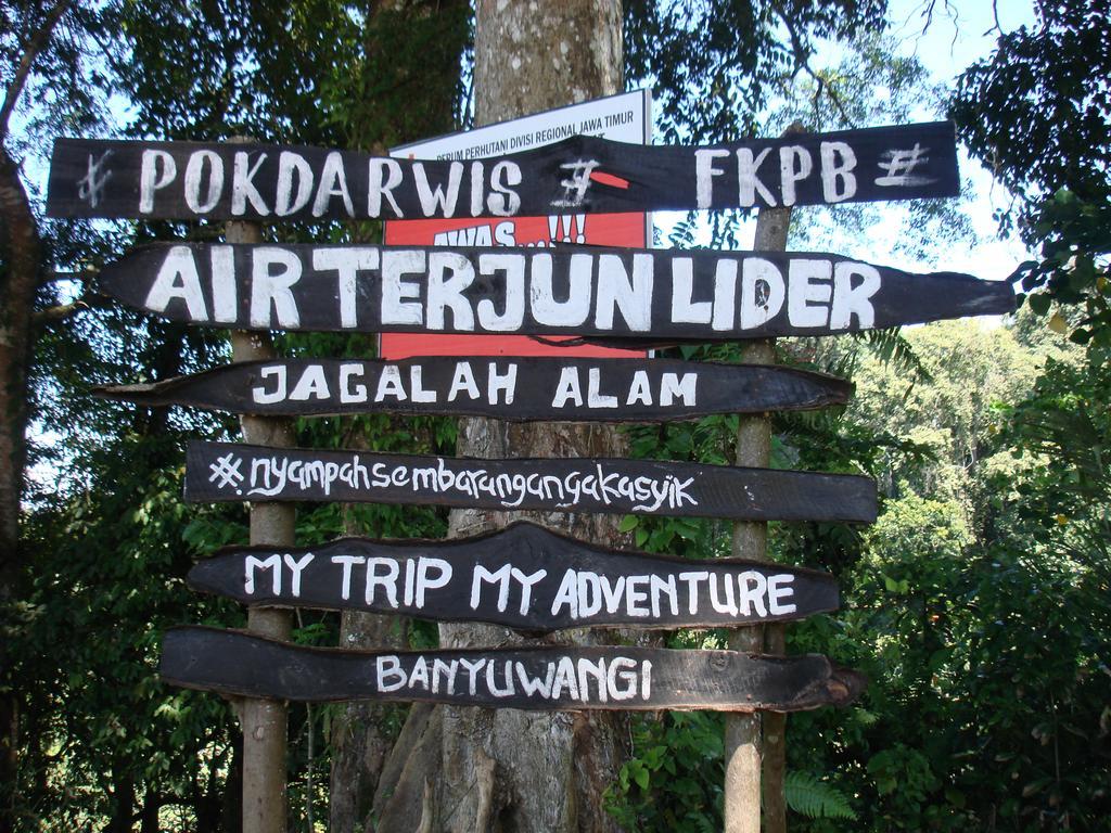 Thalia Homestay & Ijen Bromo Tour Banyuwangi  Exteriér fotografie