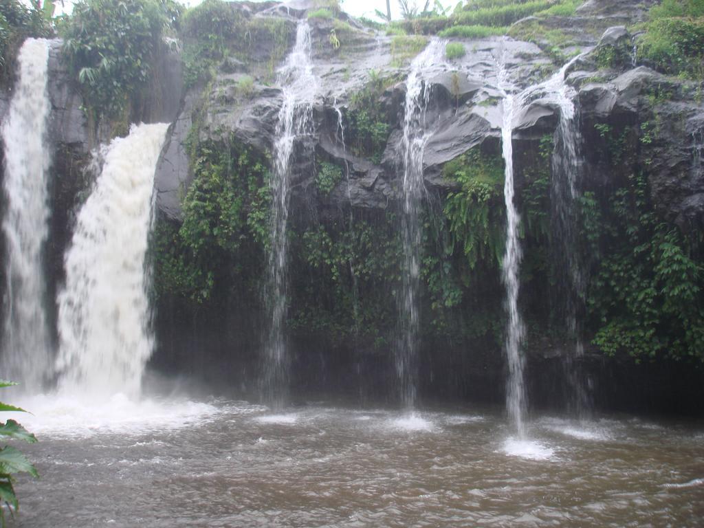 Thalia Homestay & Ijen Bromo Tour Banyuwangi  Exteriér fotografie