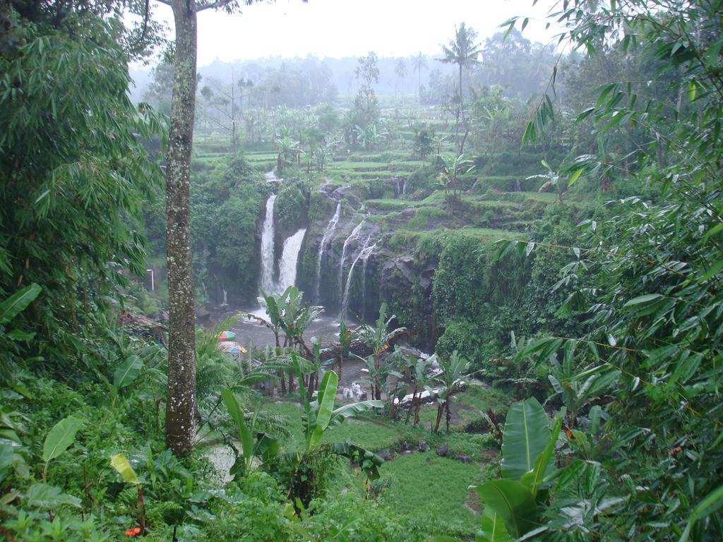 Thalia Homestay & Ijen Bromo Tour Banyuwangi  Exteriér fotografie