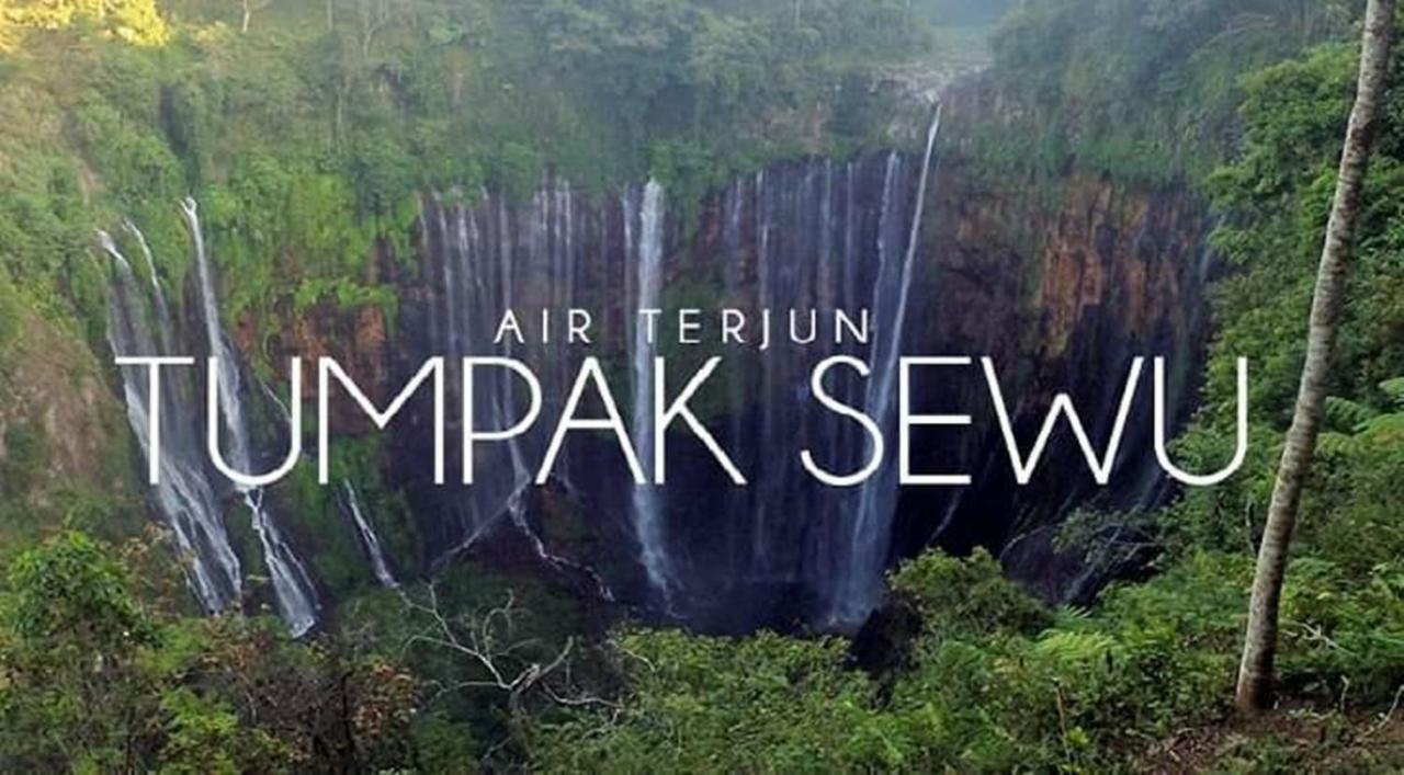 Thalia Homestay & Ijen Bromo Tour Banyuwangi  Exteriér fotografie